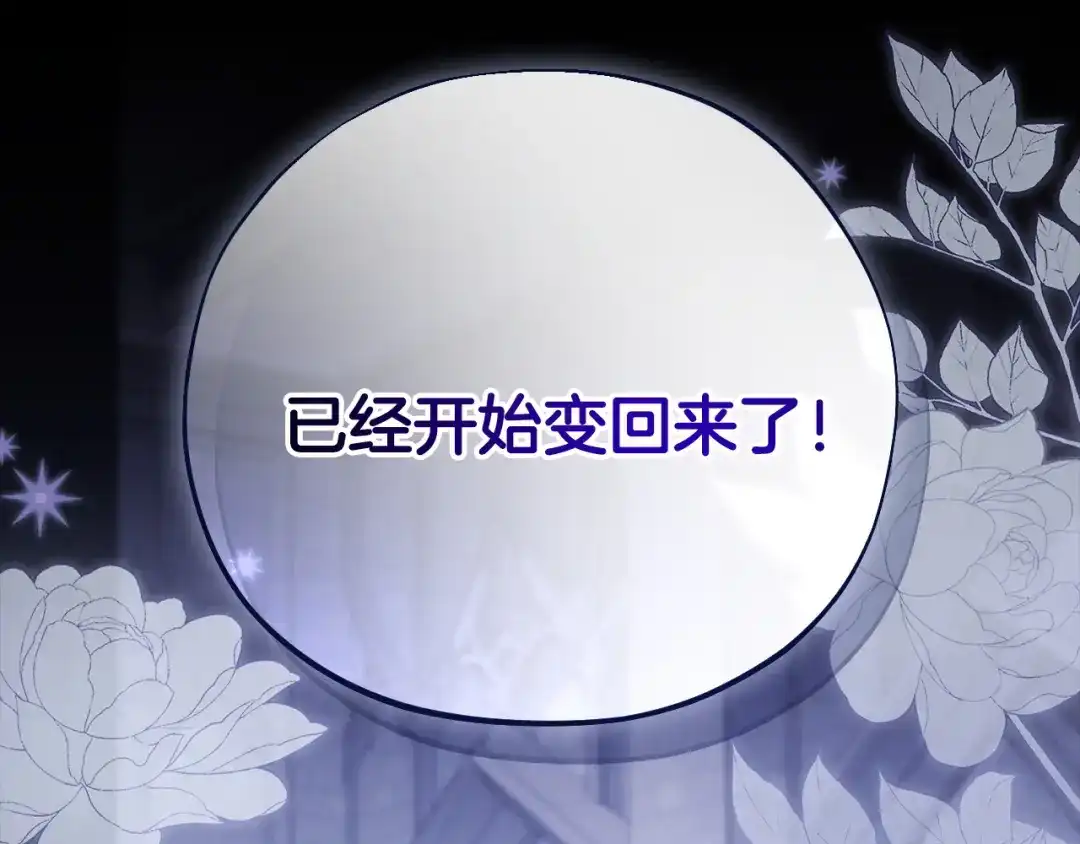 第204页