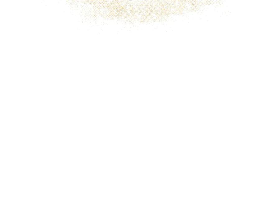 第238页