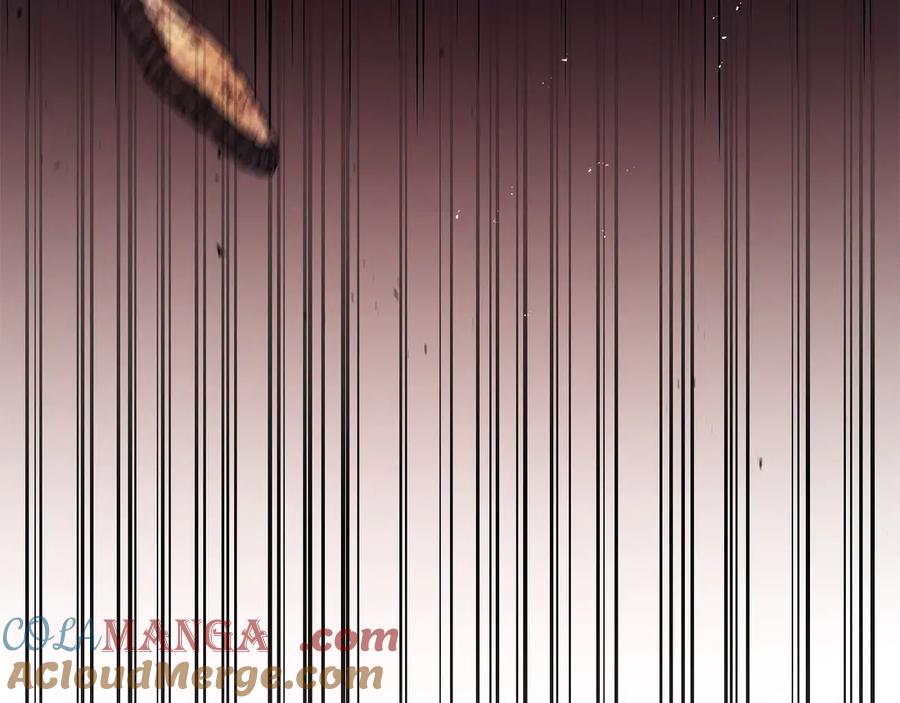 第217页
