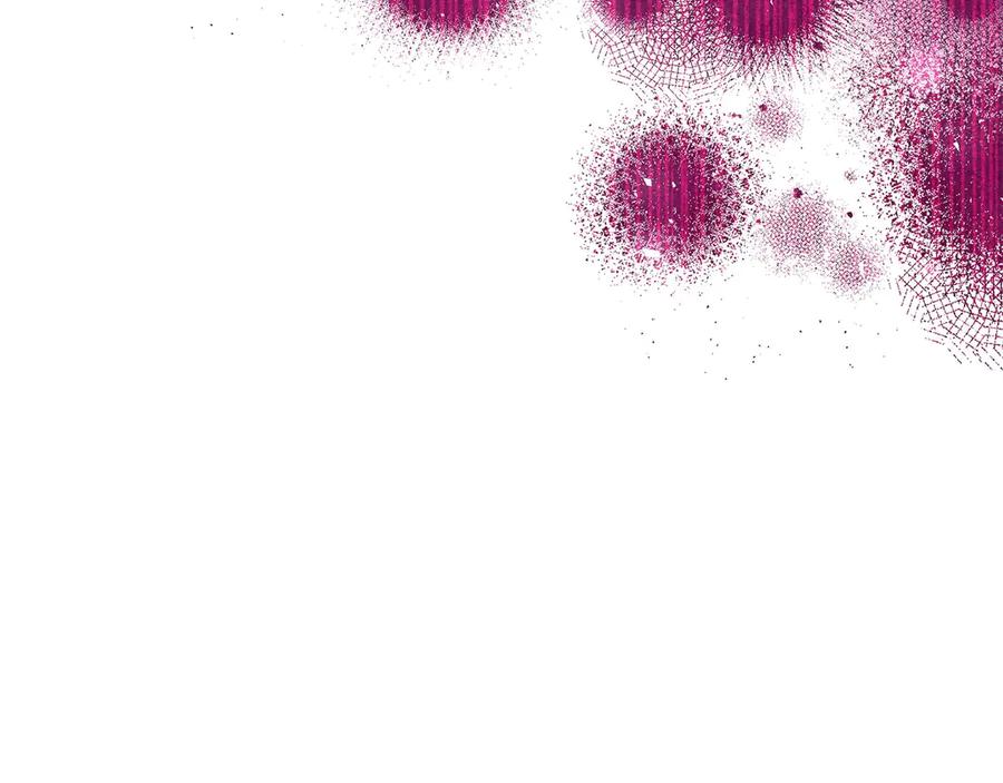 第202页