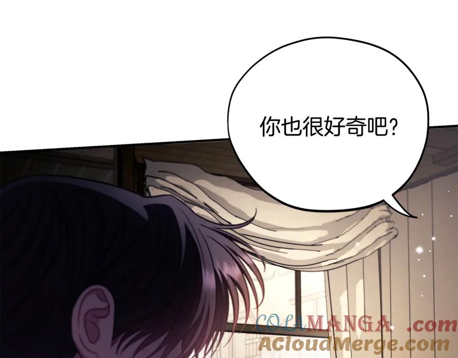 第245页
