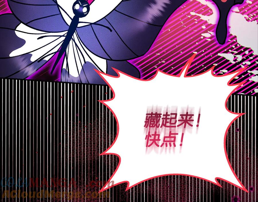 第241页