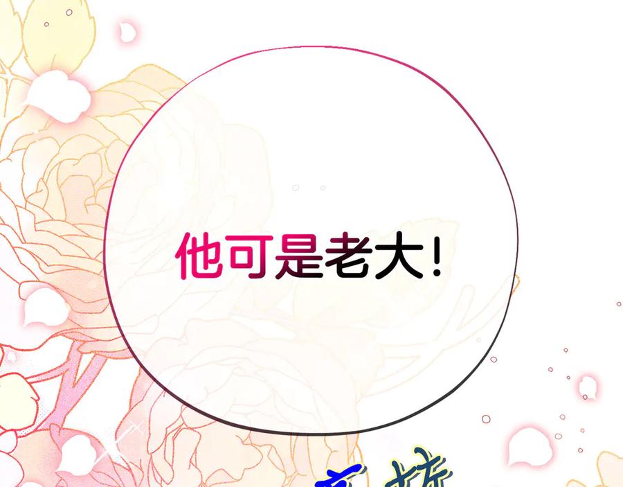第251页