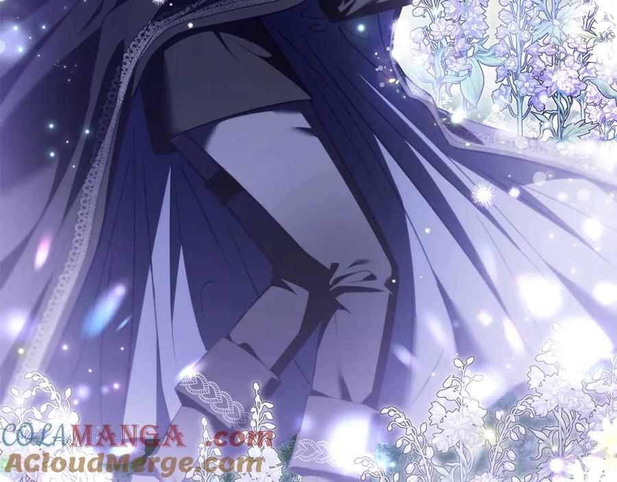 第217页