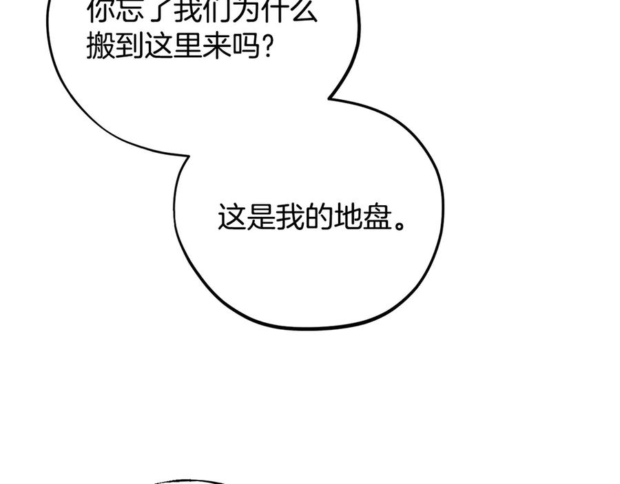 第231页
