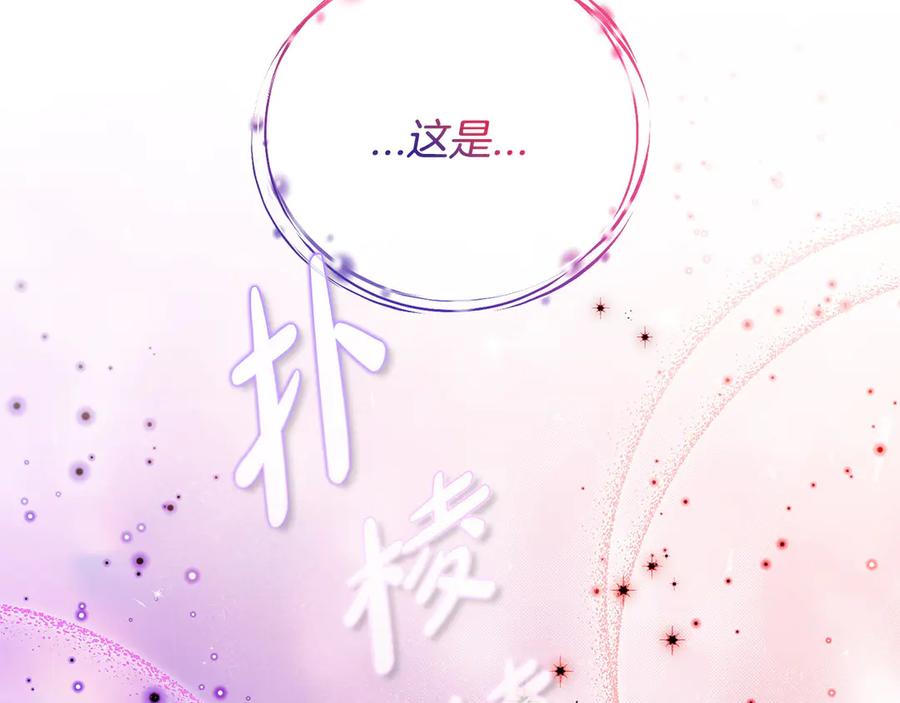 第241页