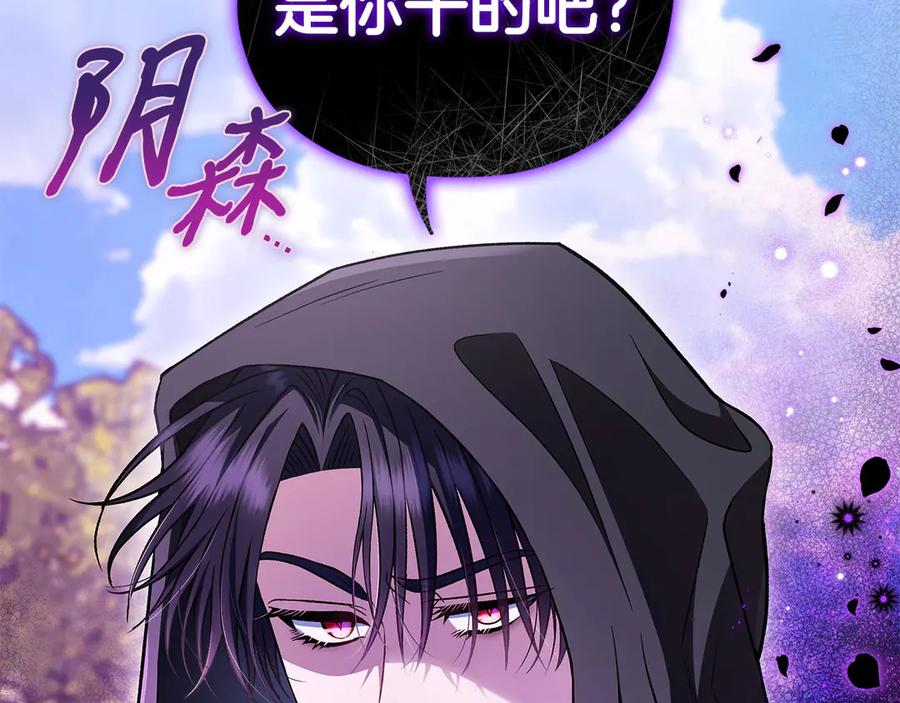 第223页