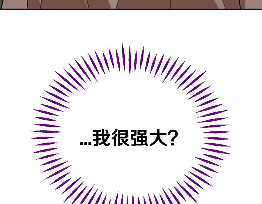 第223页