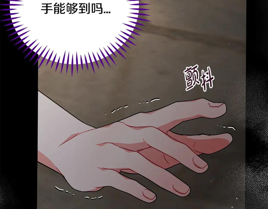 第260页