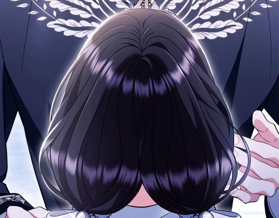 第223页
