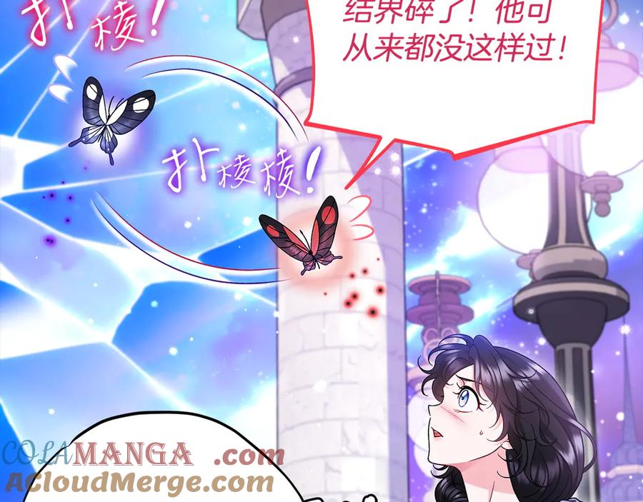 第213页