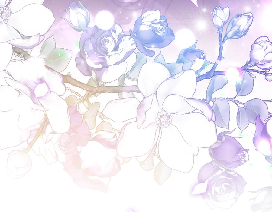 第223页