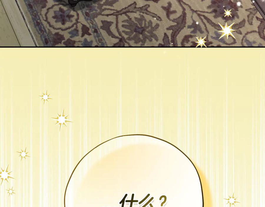 第239页