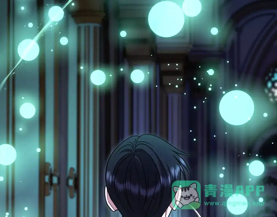 第221页