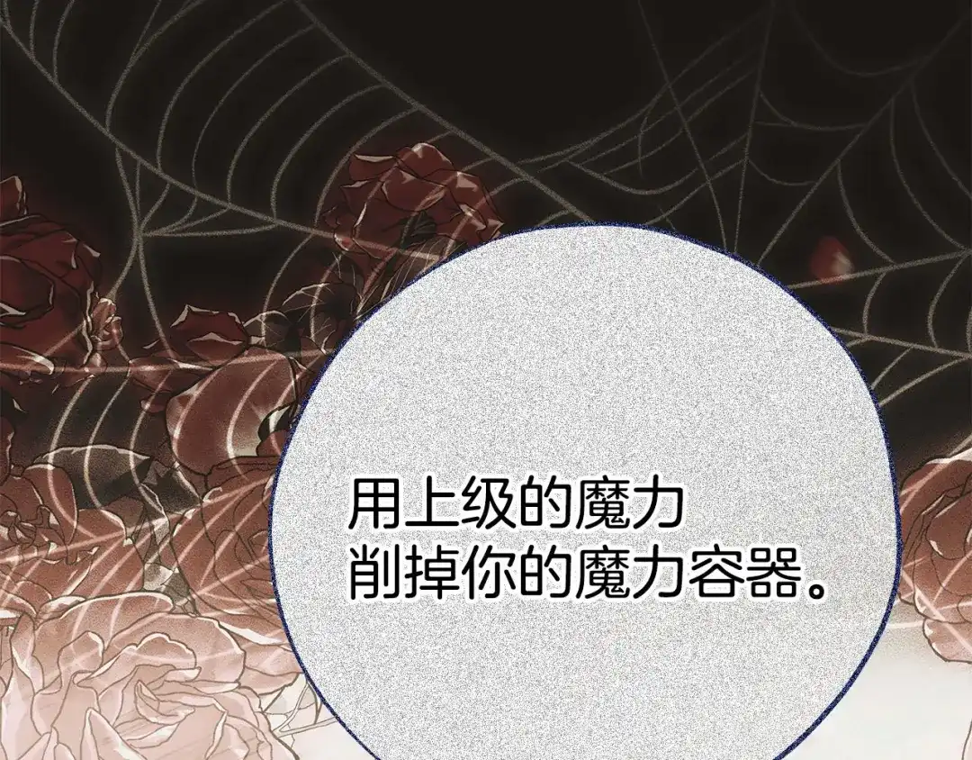 第259页