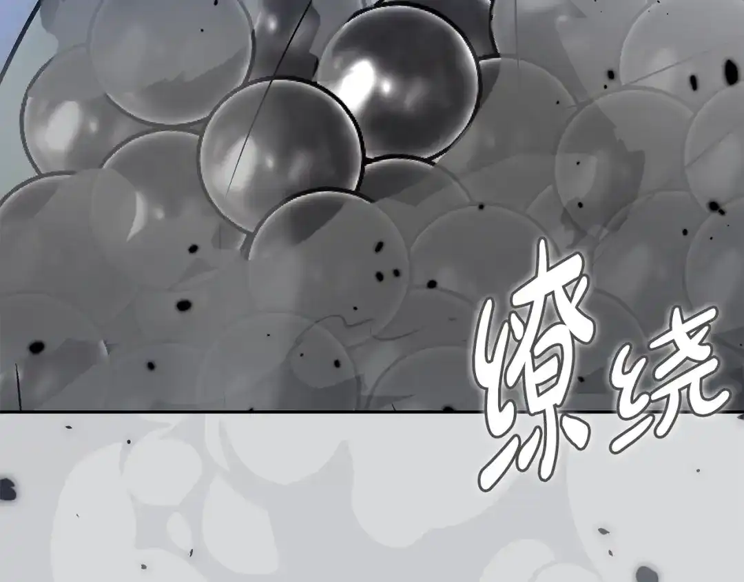 第242页