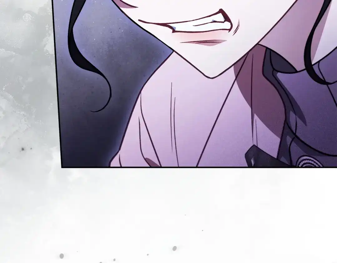 第242页