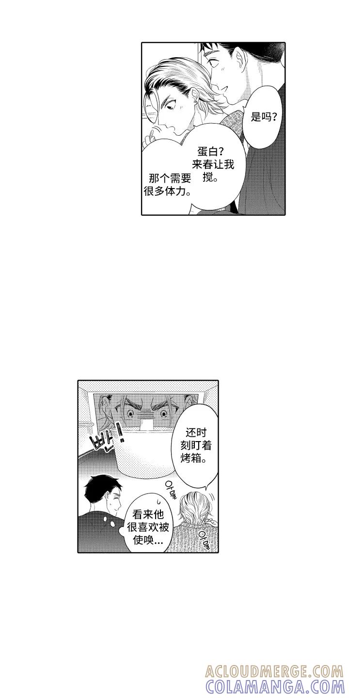 第41页