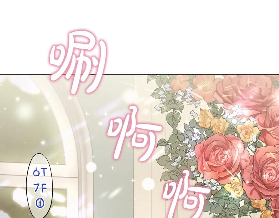 第244页