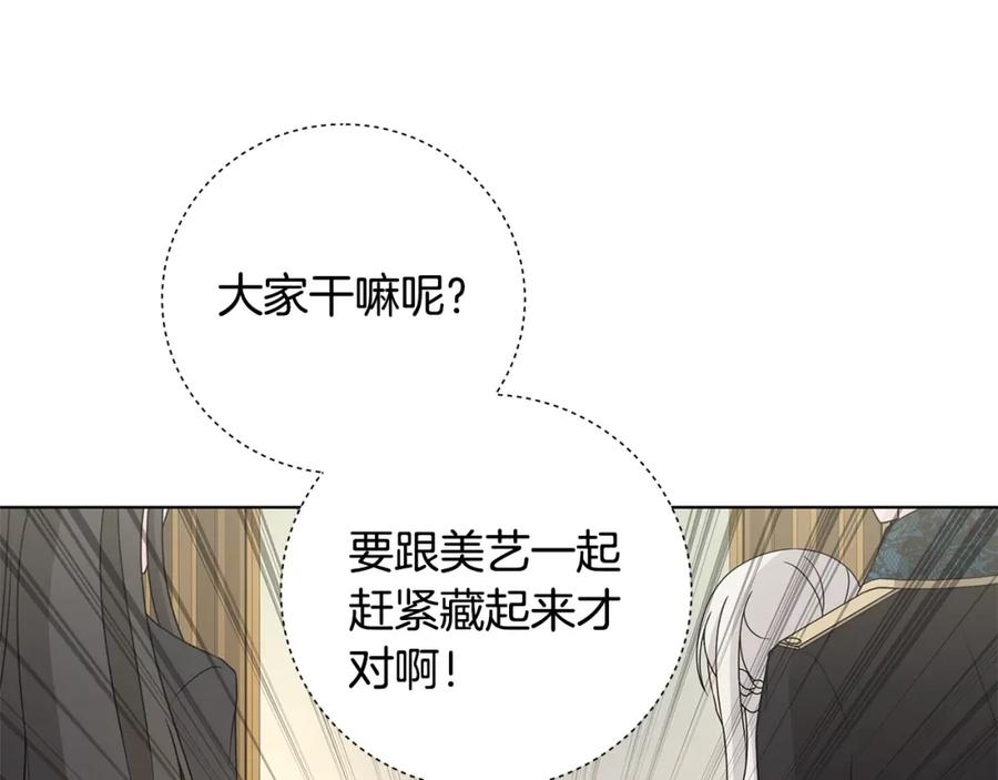 第223页