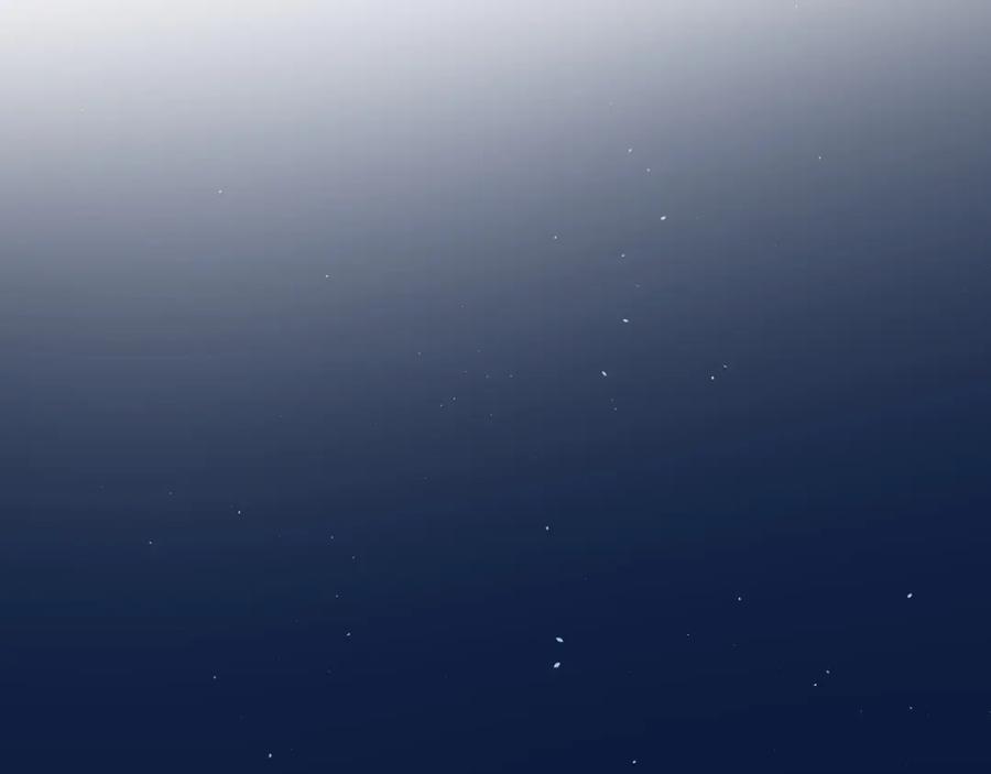第170页
