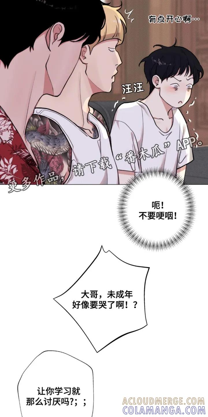 第29页