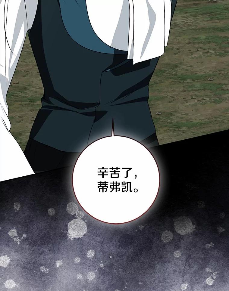 第223页