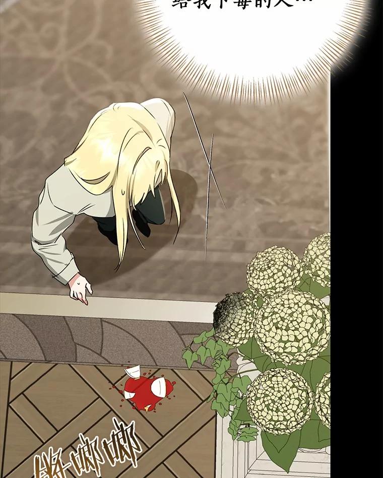 第245页