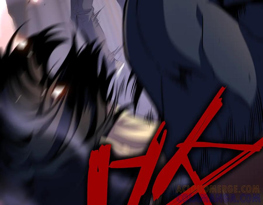 第205页