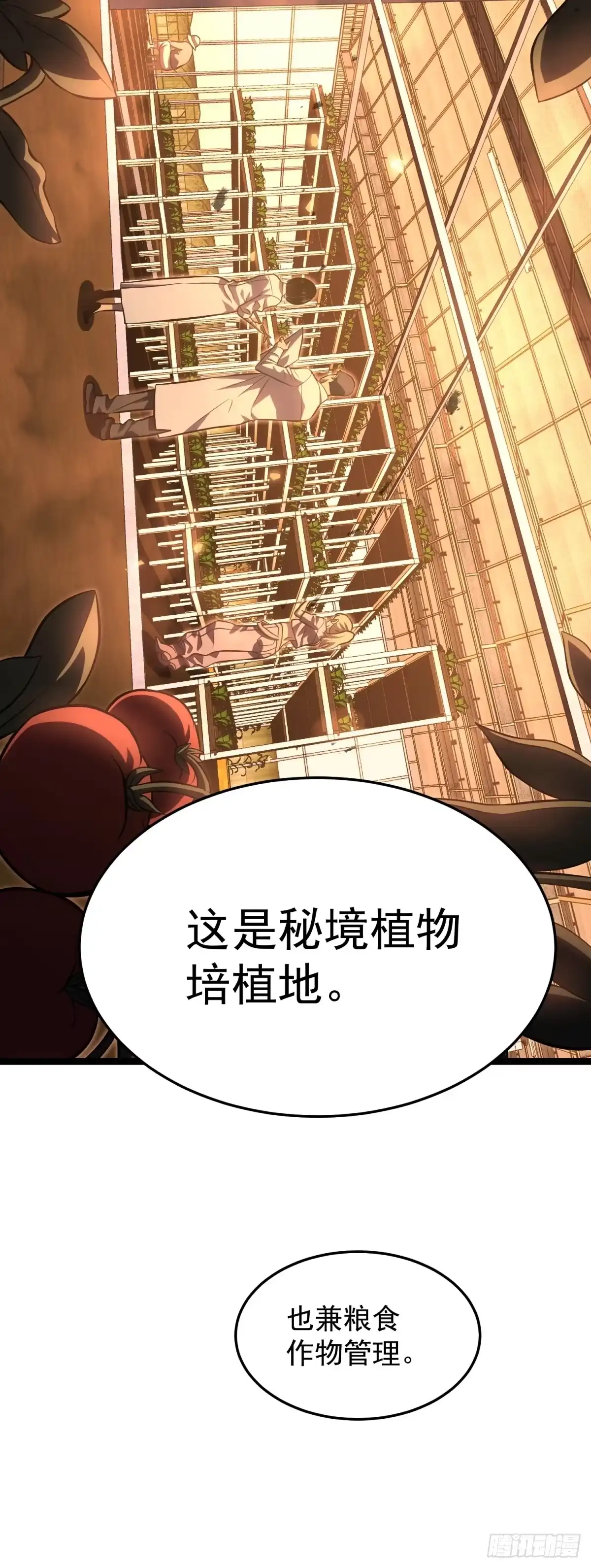重生后我用镜面反转复仇 余烬城困境 第12页
