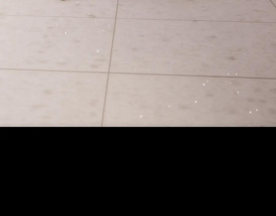 第239页