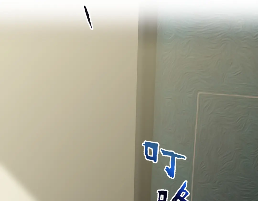 第204页