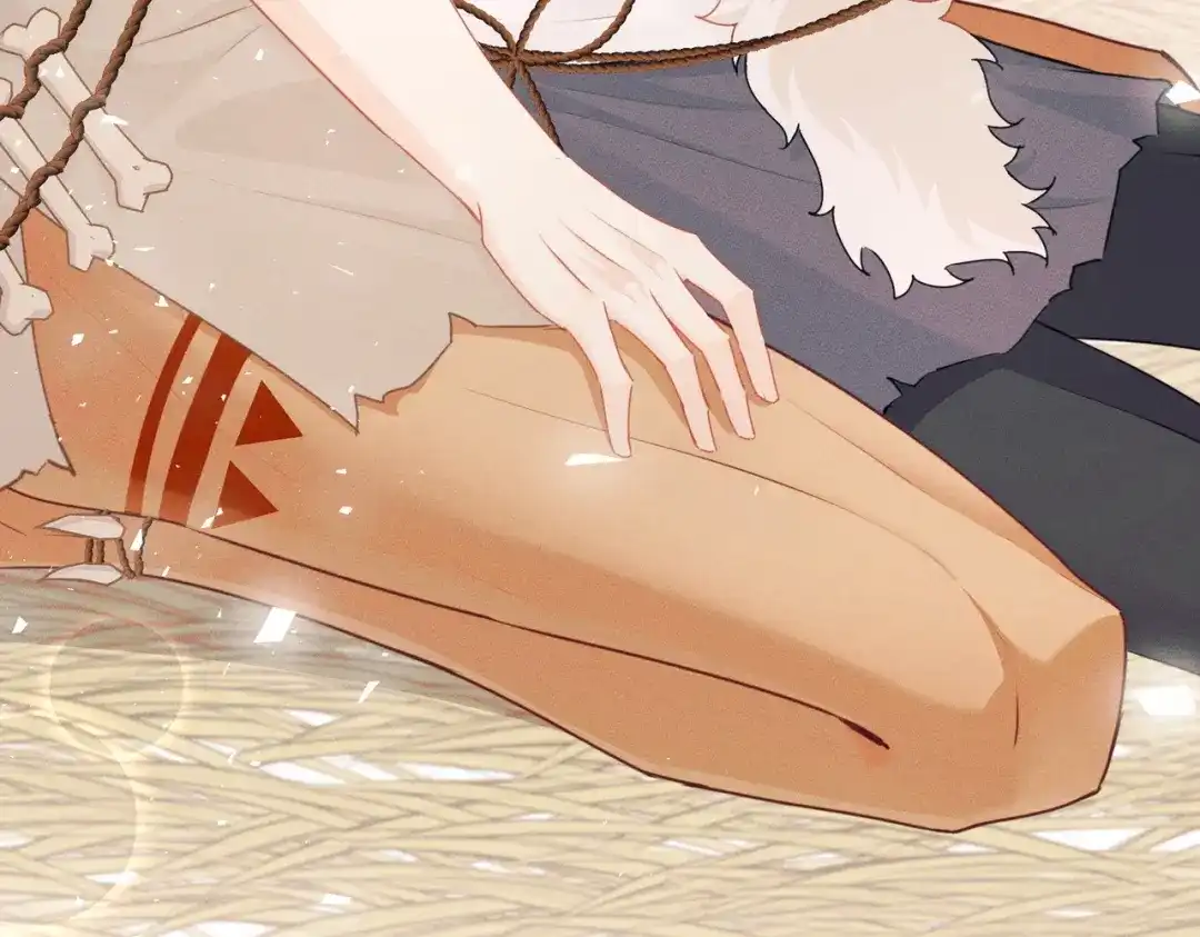 第81页