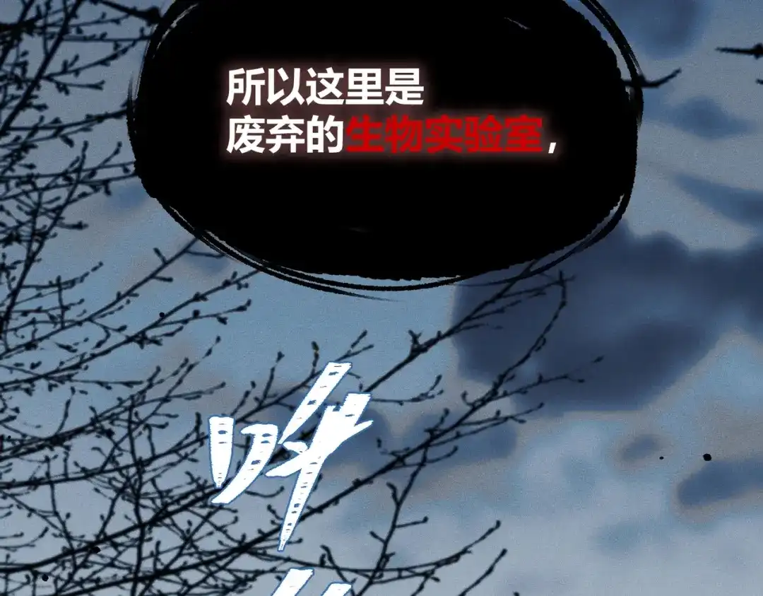 第567页