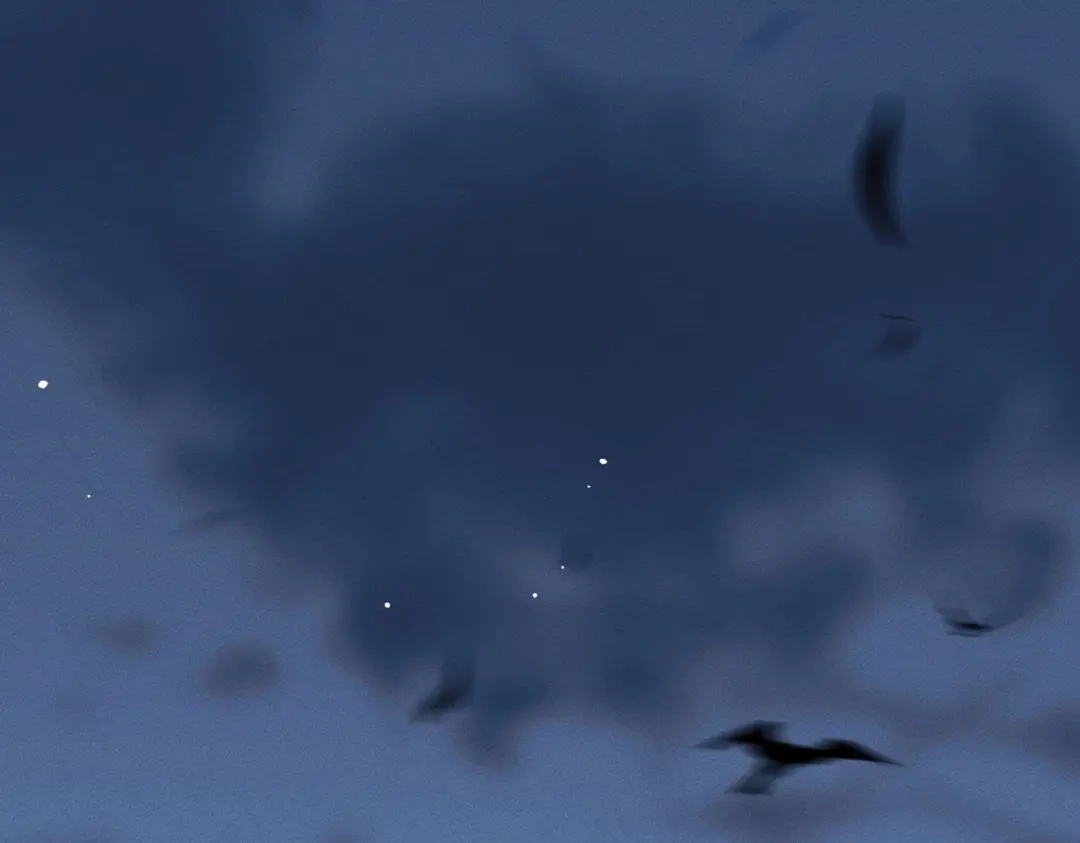 第135页