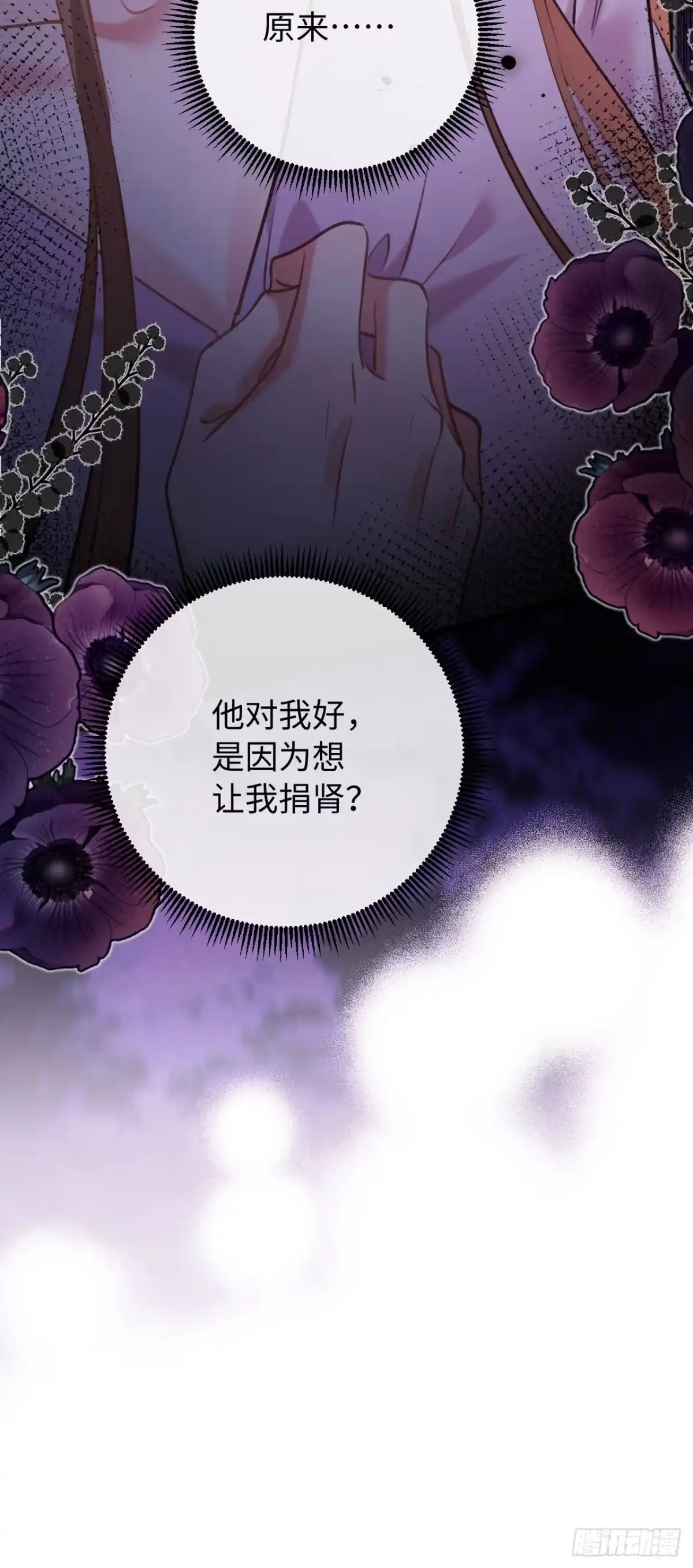 拒绝捐肾，我成了前任的小舅妈 43-是为了我的肾？ 第41页
