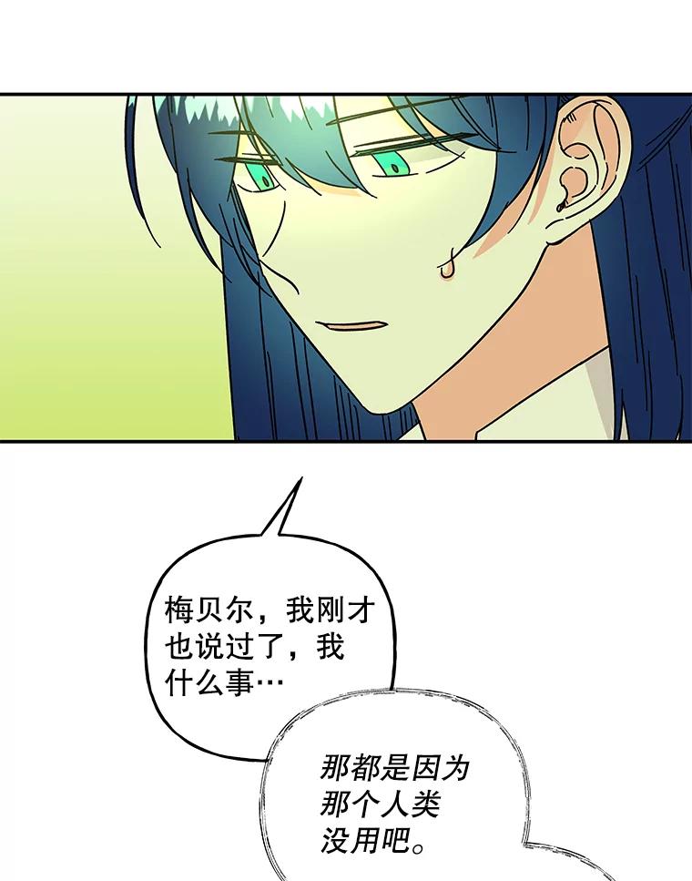 第247页