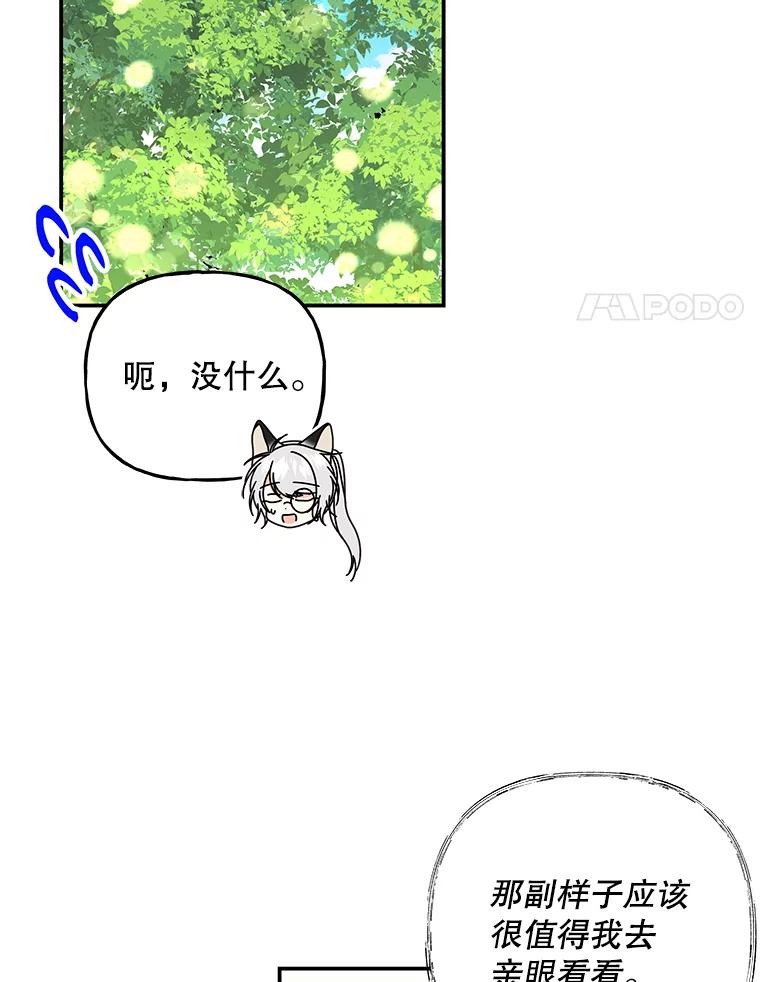 第259页