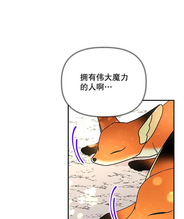 第235页