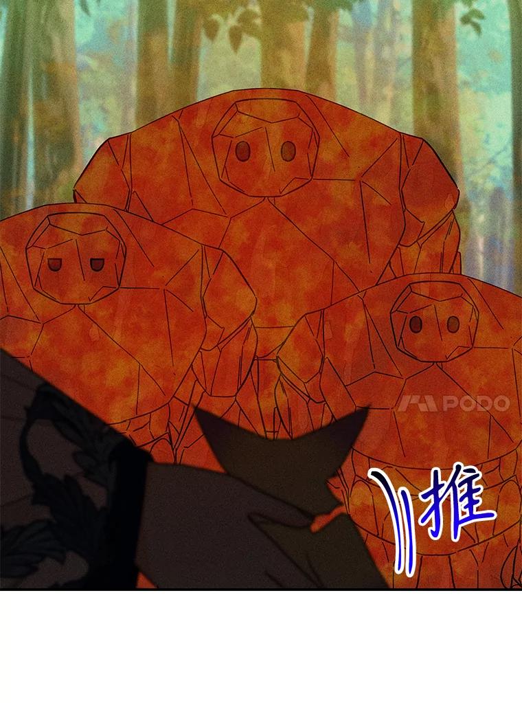 第244页