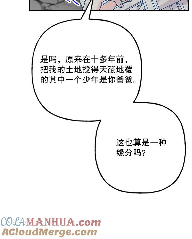 第205页