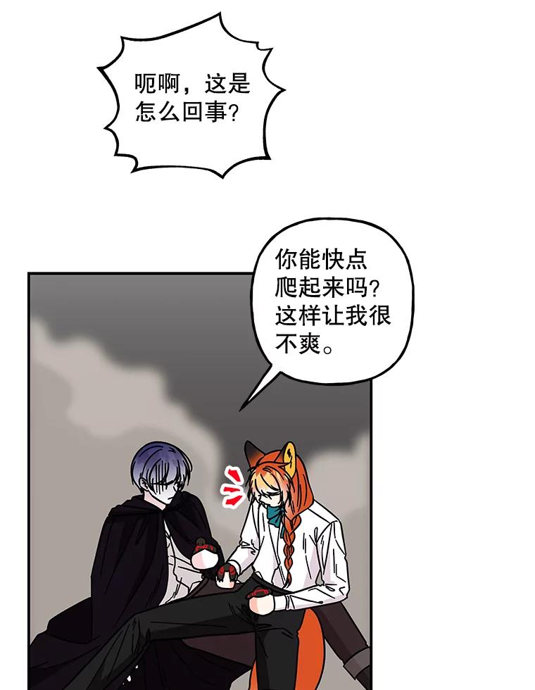 第223页