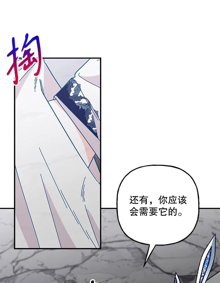 第223页