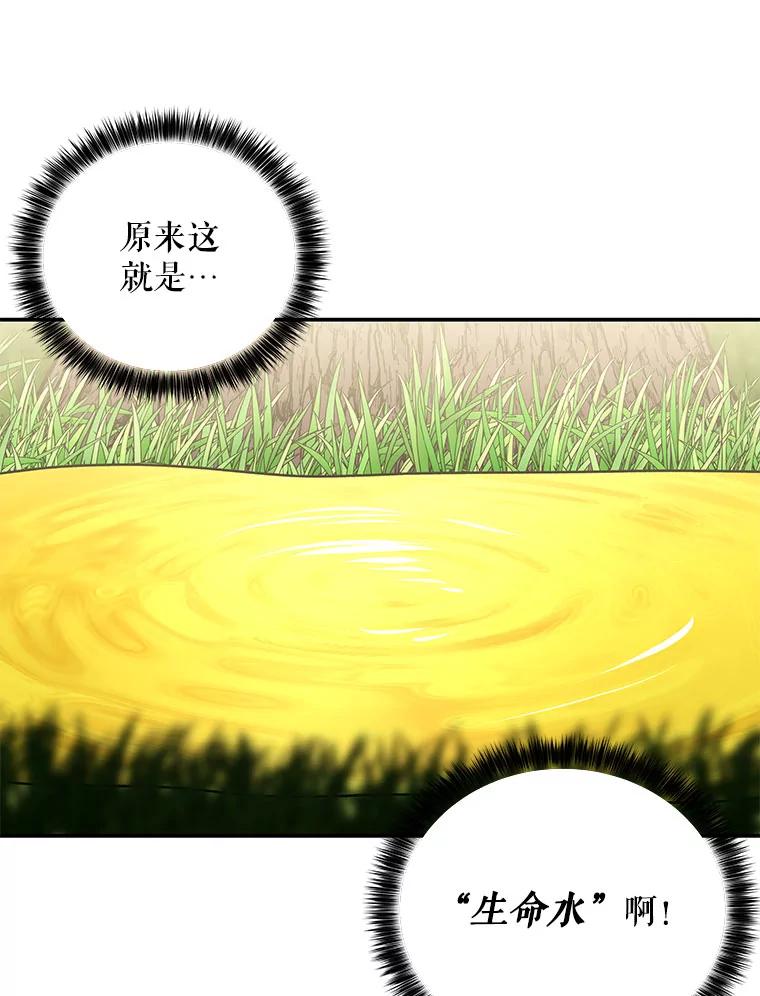第223页
