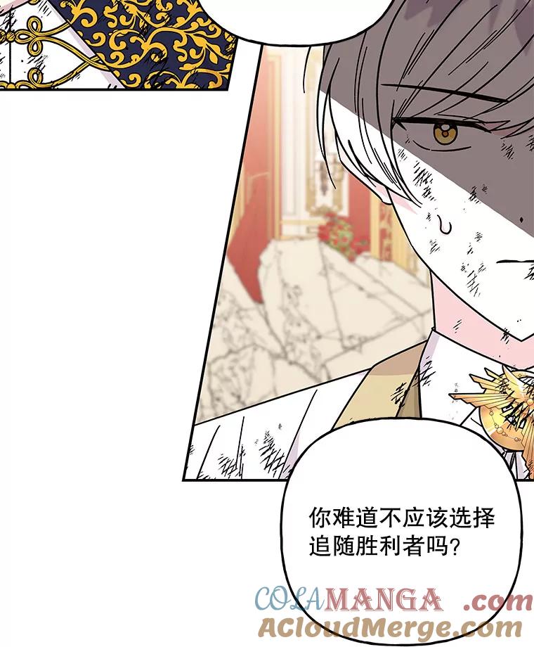 第205页