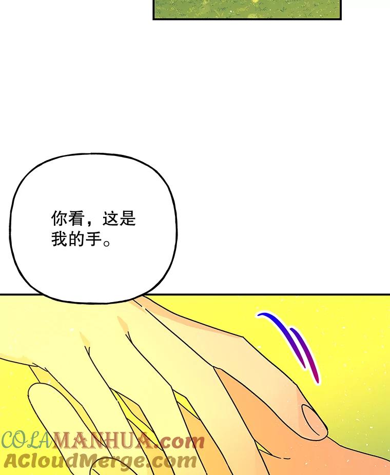 第242页
