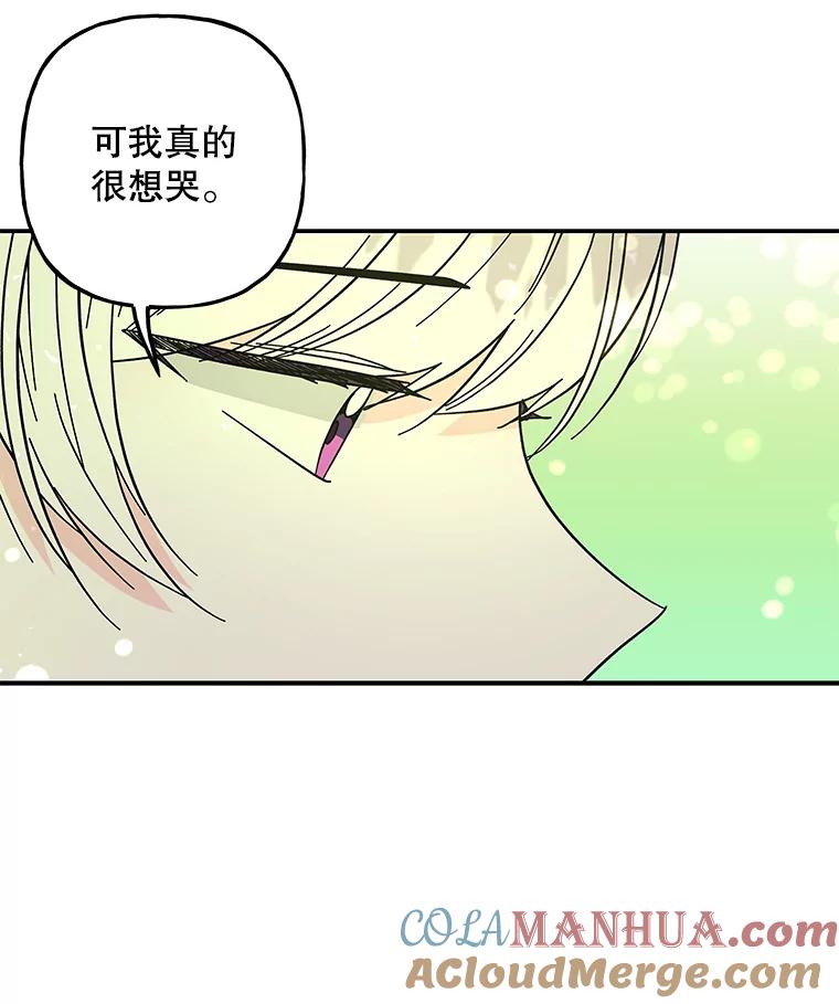 第255页