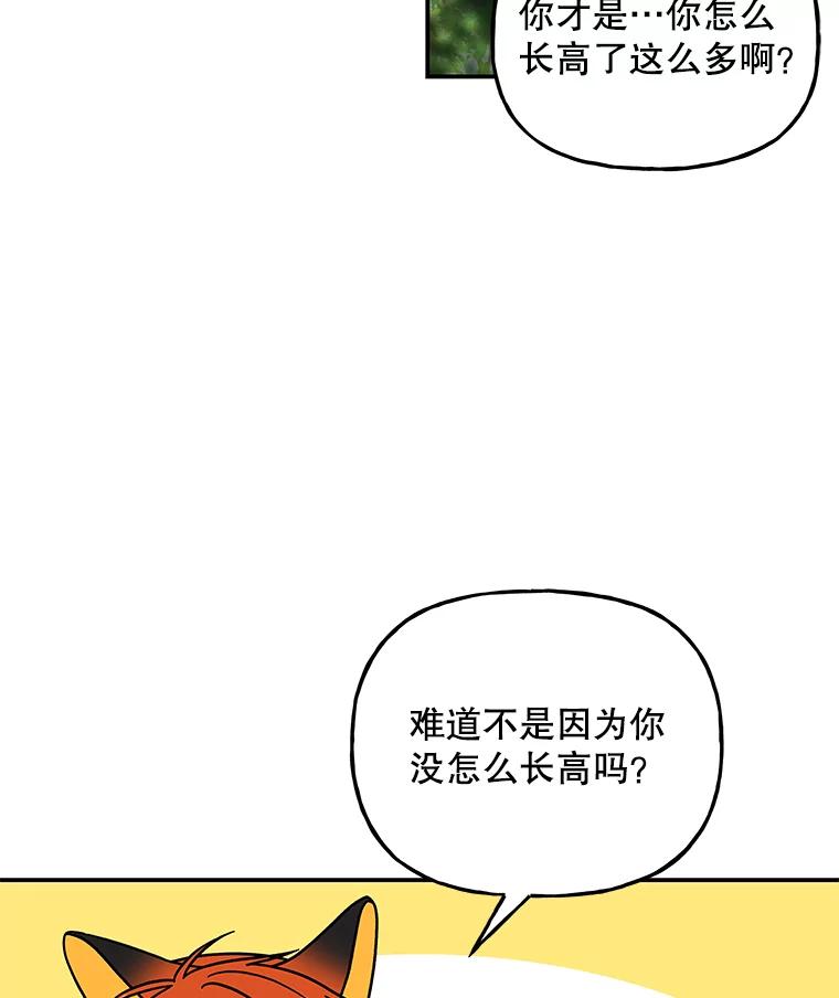 第333页