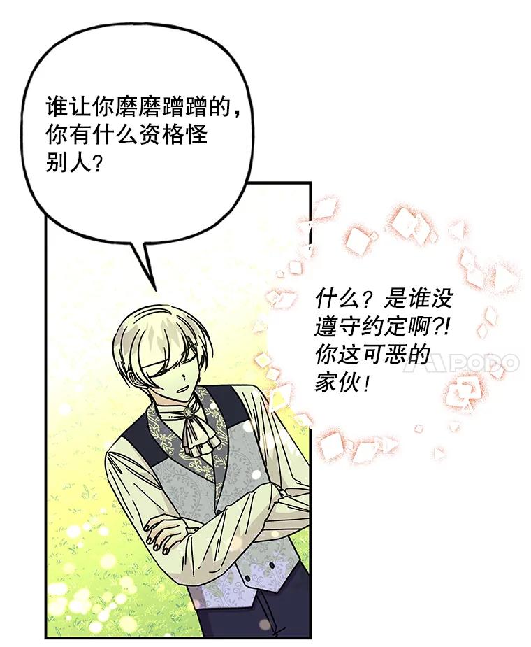 第204页