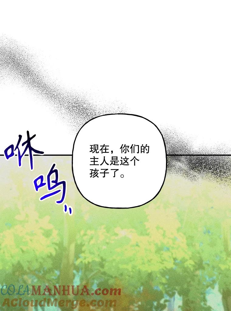 第243页